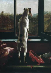Esperando